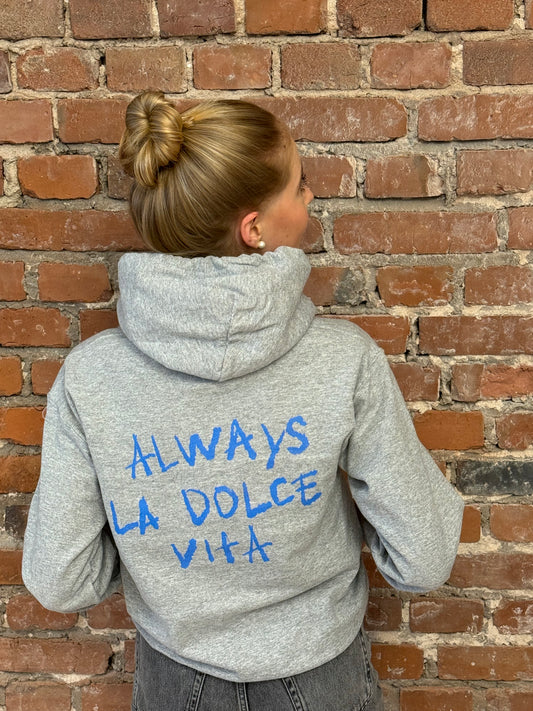 ALDV classic hoodie