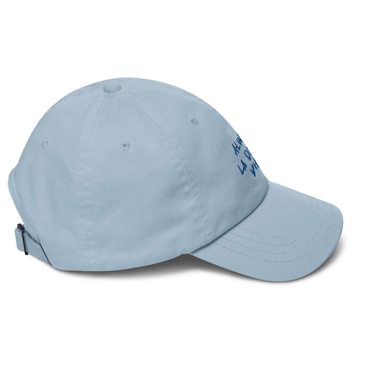 ALDV classic dad hat